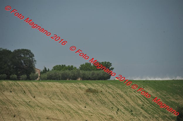 DSC_4787.JPG